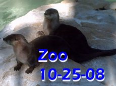 Zoo Oct. 2008
